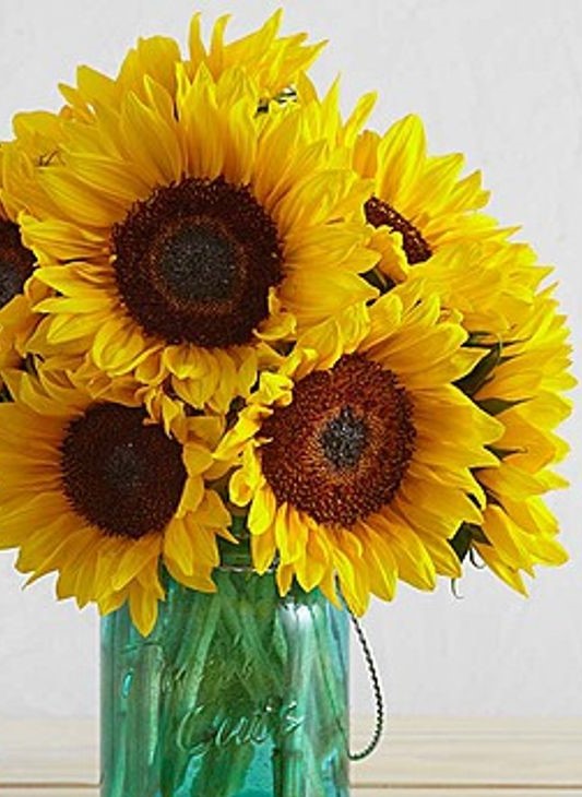 2021 Sunflower Brunch at Trunnell's